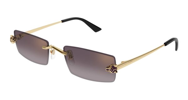 Cartier CARTIER-CT0598S-005