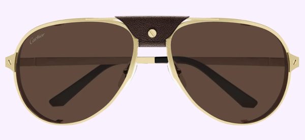 Cartier CARTIER-CT0296S-005