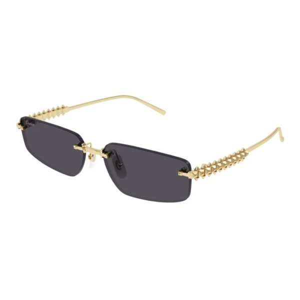 Cartier CARTIER-CT0544S-002