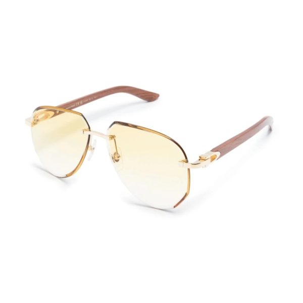 Cartier CARTIER CT0440S-004
